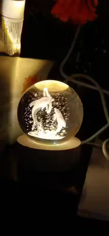 Magical 3D Dolphine Crystal Ball LED Night Lamp